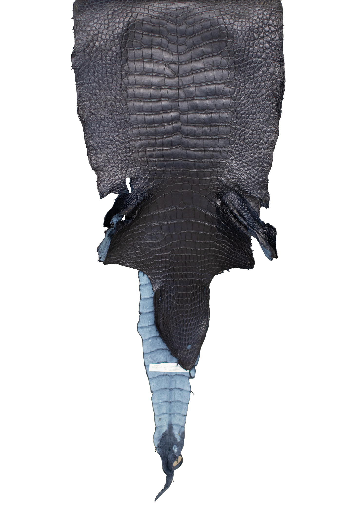 46 cm Grade 2/3 Navy Blue Matte (Dark Dye Lot) Wild American Alligator Leather - Tag: LA23-0001963
