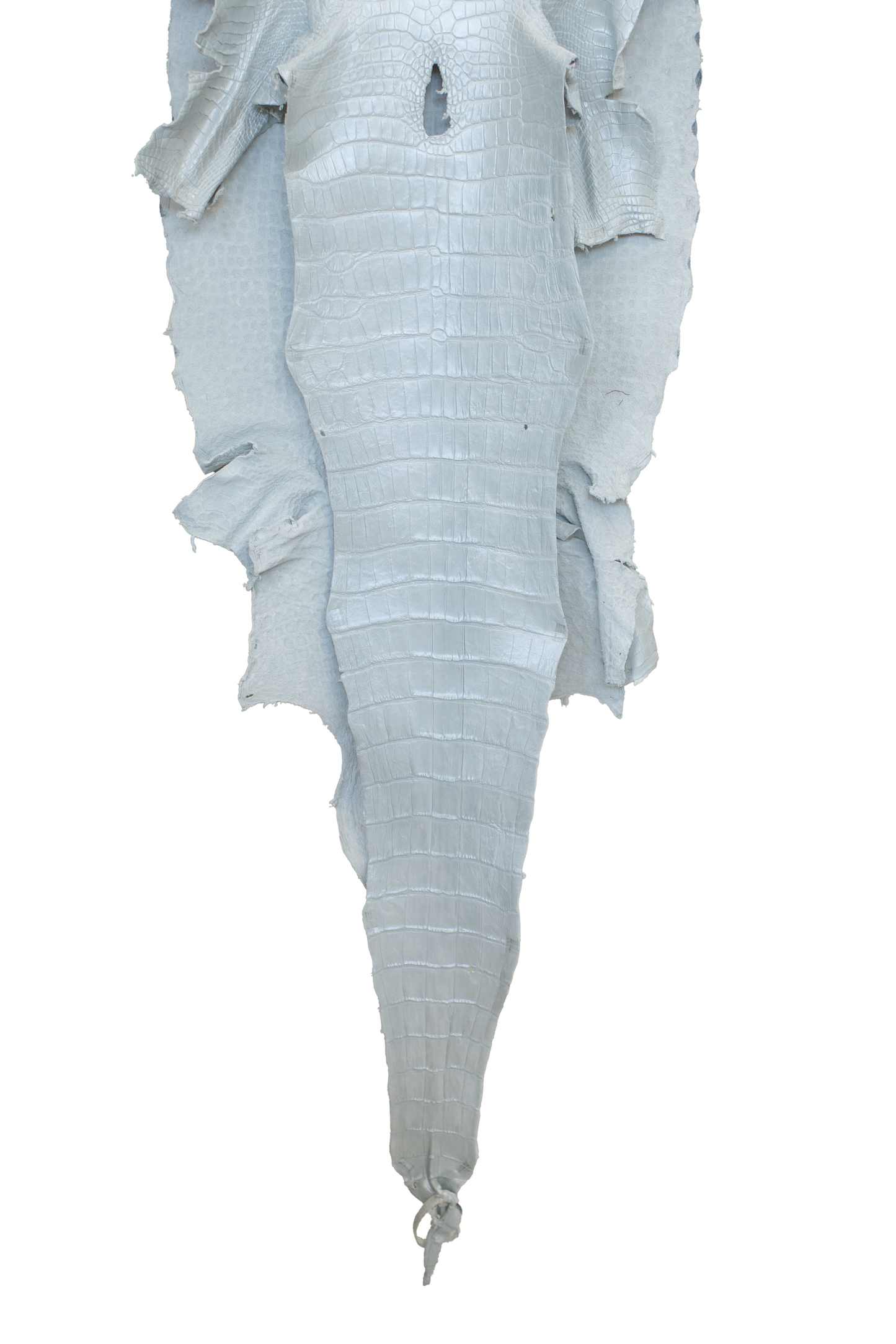 47 cm Grade 2/3 White Pearl Matte Wild American Alligator Leather - Tag: LA23-0002799