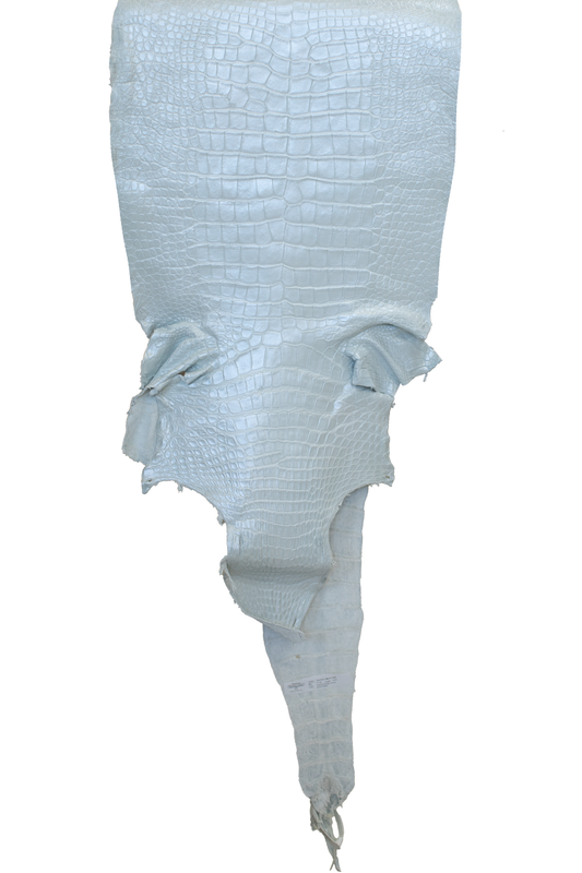 47 cm Grade 2/3 White Pearl Matte Wild American Alligator Leather - Tag: LA23-0002799