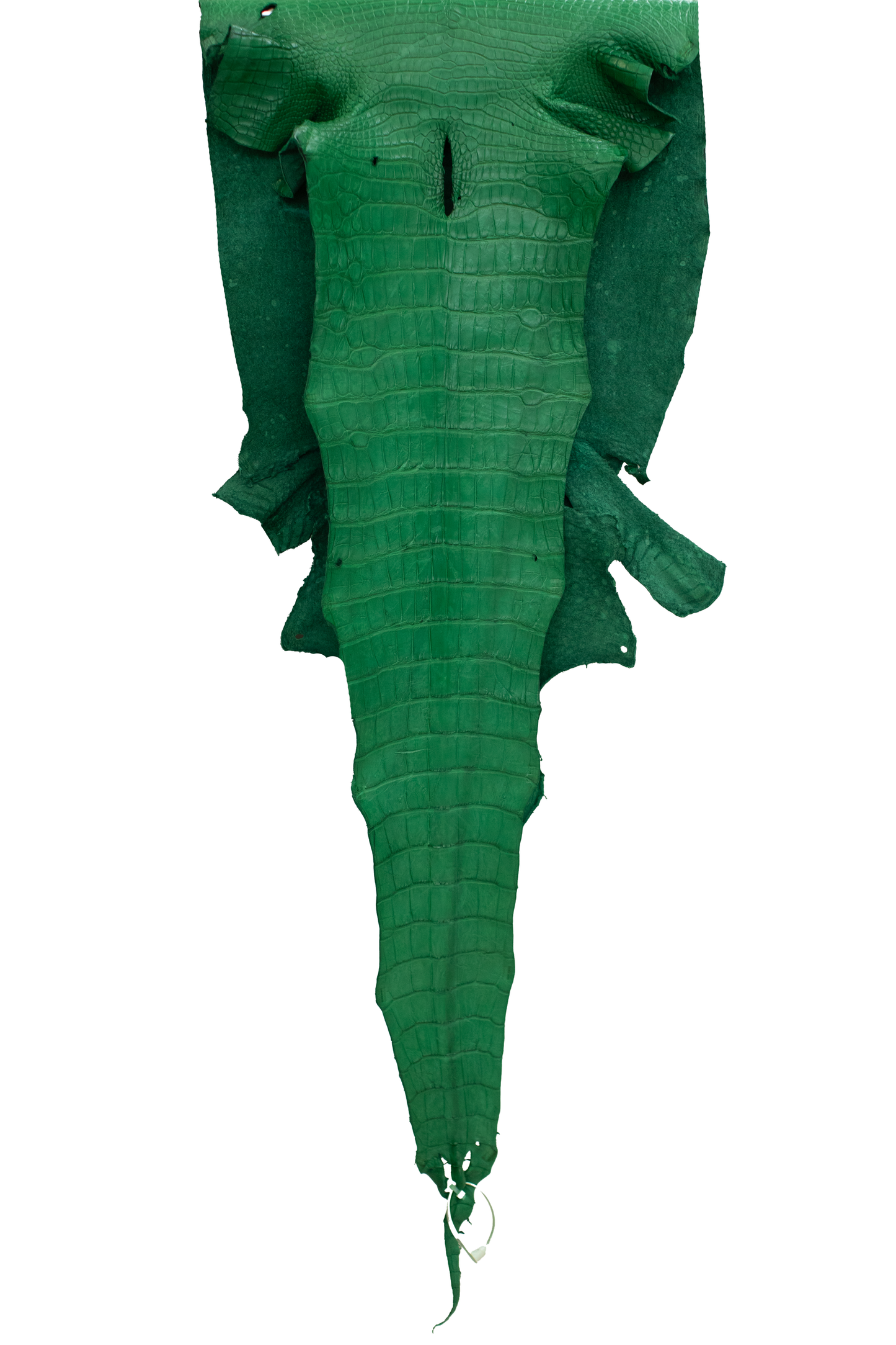 45 cm Grade 3/4 Kelly Green Matte Wild American Alligator Leather - Tag: LA23-0003078