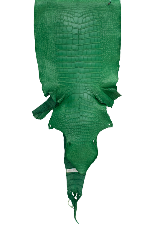 45 cm Grade 3/4 Kelly Green Matte Wild American Alligator Leather - Tag: LA23-0003078
