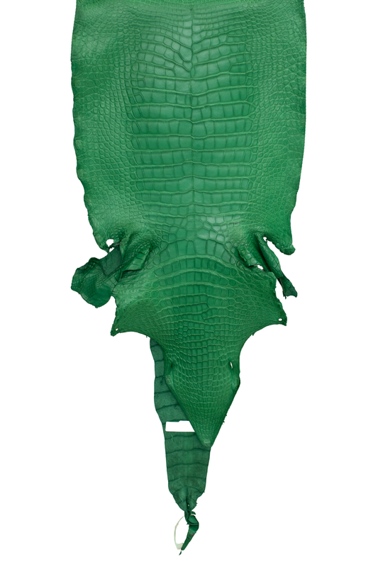 44 cm Grade 3/4 Kelly Green Matte Wild American Alligator Leather - Tag: LA23-0003497