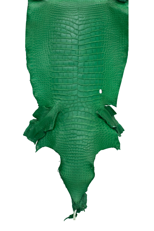 46 cm Grade 3/4 Kelly Green Matte Wild American Alligator Leather - Tag: LA23-0006441