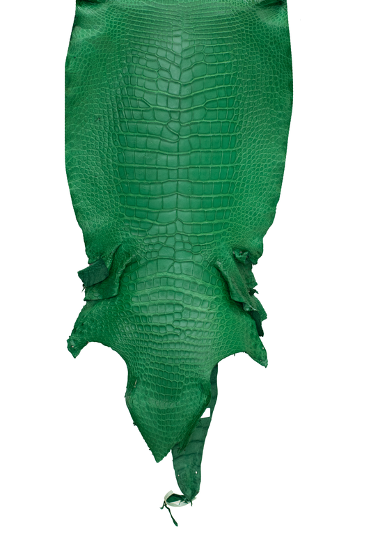 46 cm Grade 3/4 Kelly Green Matte Wild American Alligator Leather - Tag: LA23-0000835