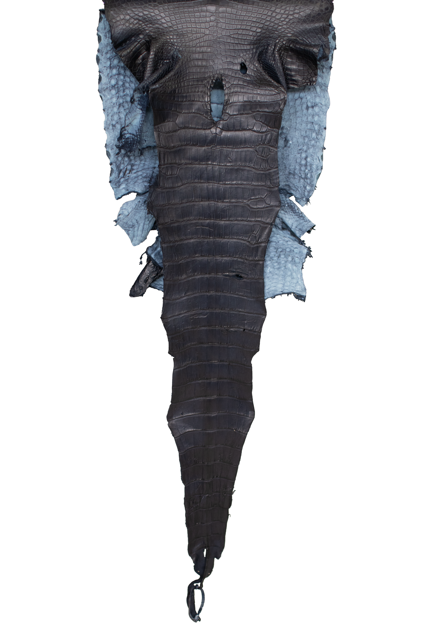48 cm Grade 4/5 Navy Blue Matte (Dark Dye Lot) Wild American Alligator Leather - Tag: LA23-0014931