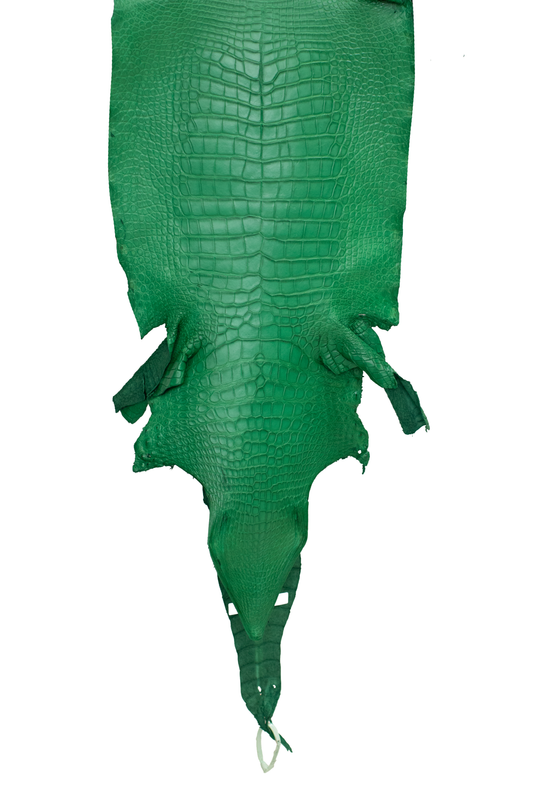 45 cm Grade 3/4 Kelly Green Matte Wild American Alligator Leather - Tag: LA23-0016540