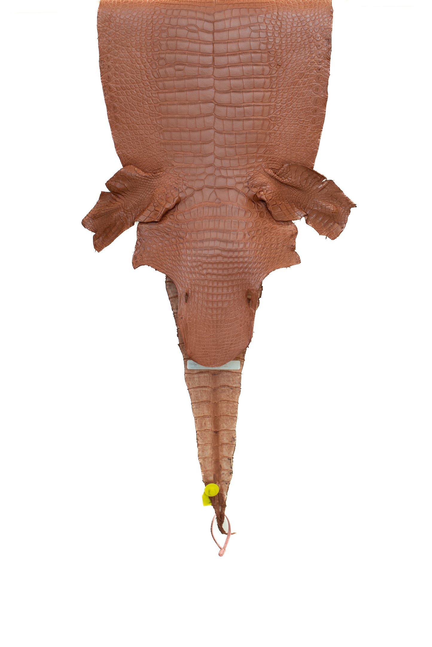 43 cm Grade 1/2 Georgia Clay Matte Wild American Alligator Leather - Tag: LA15-0017036