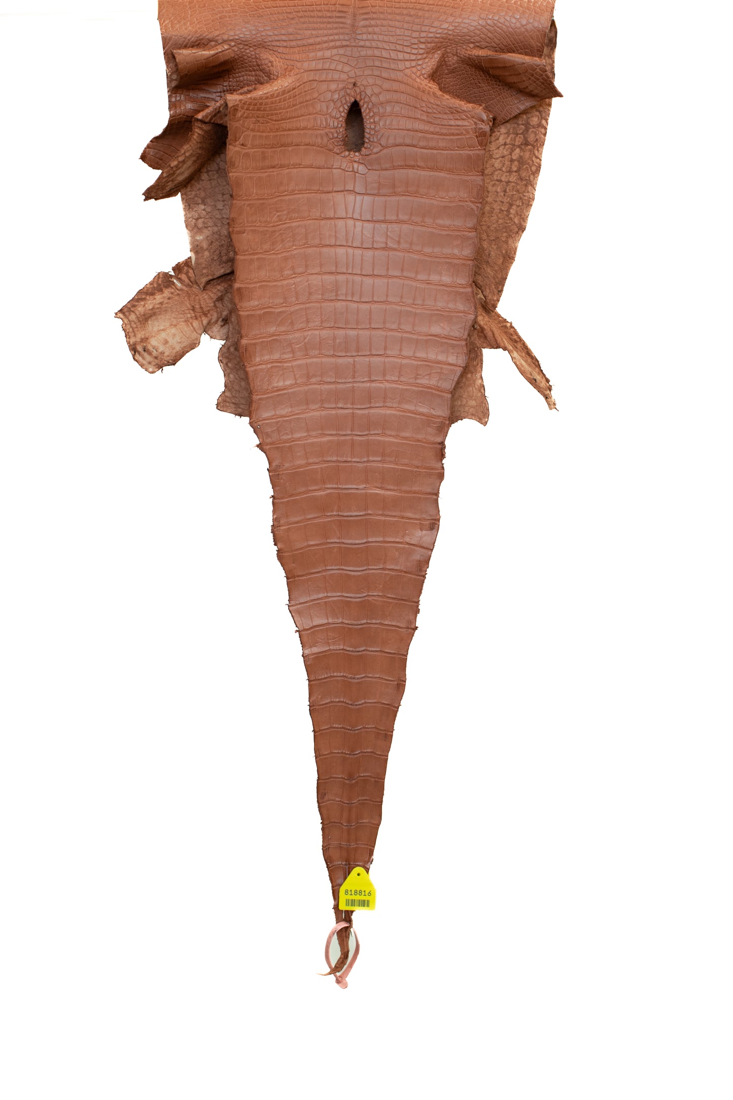 43 cm Grade 1/2 Georgia Clay Matte Wild American Alligator Leather - Tag: LA15-0017036