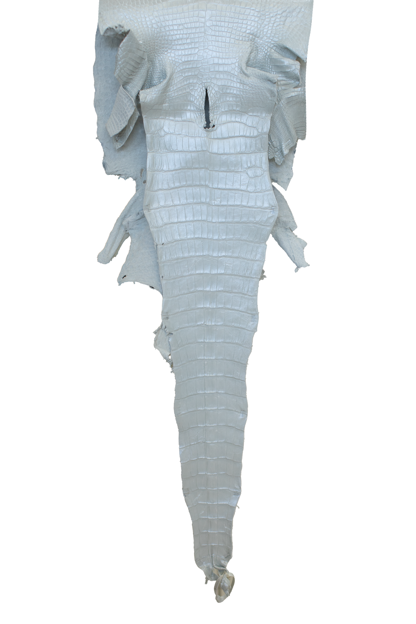 40 cm Grade 2/3 White Pearl Matte Wild American Alligator Leather - Tag: LA23-0017256