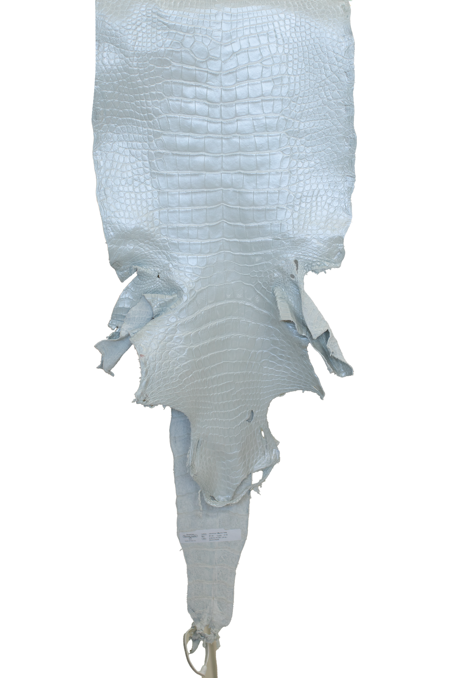 40 cm Grade 2/3 White Pearl Matte Wild American Alligator Leather - Tag: LA23-0017256