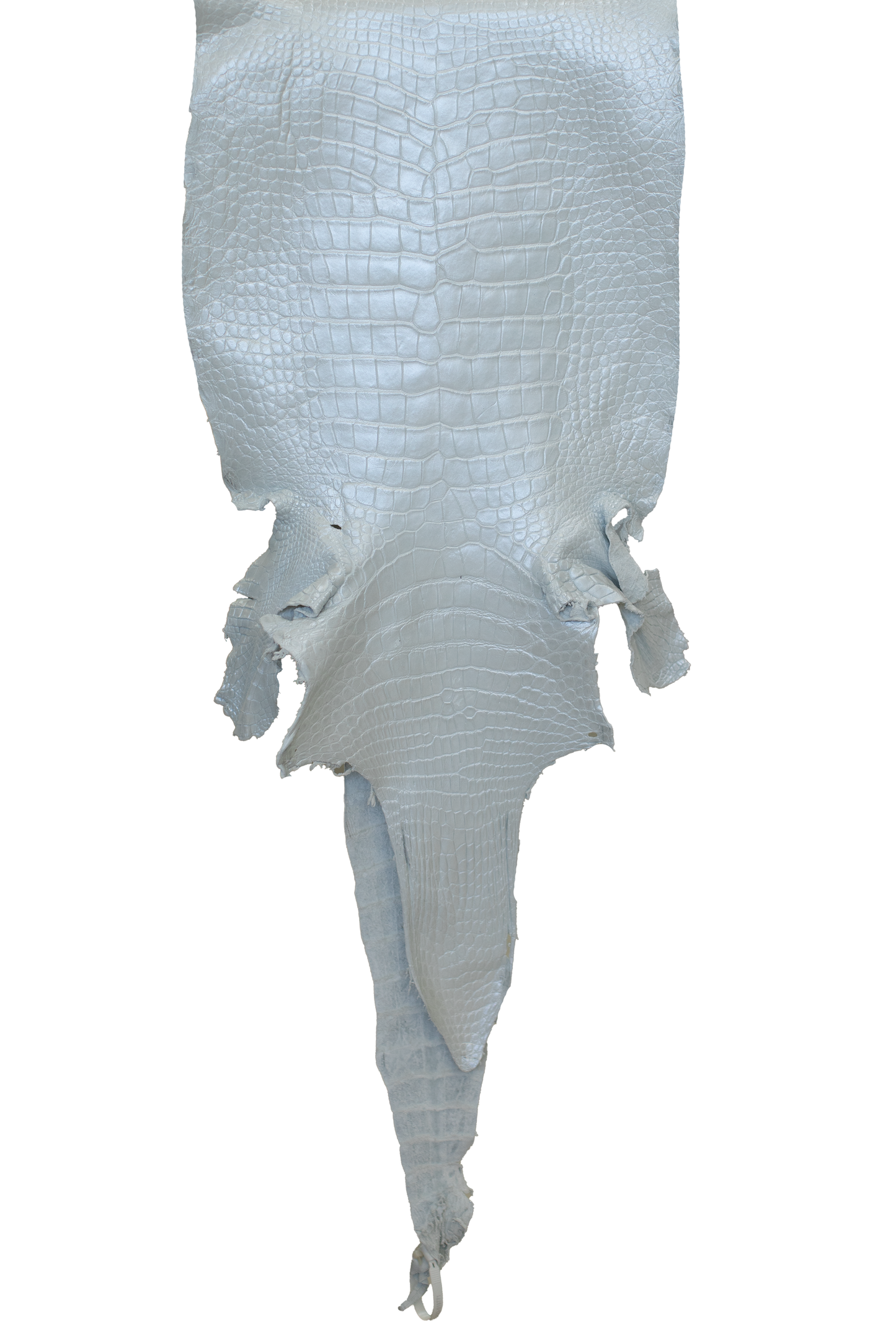 42 cm Grade 2/3 White Pearl Matte Wild American Alligator Leather - Tag: LA23-0019771