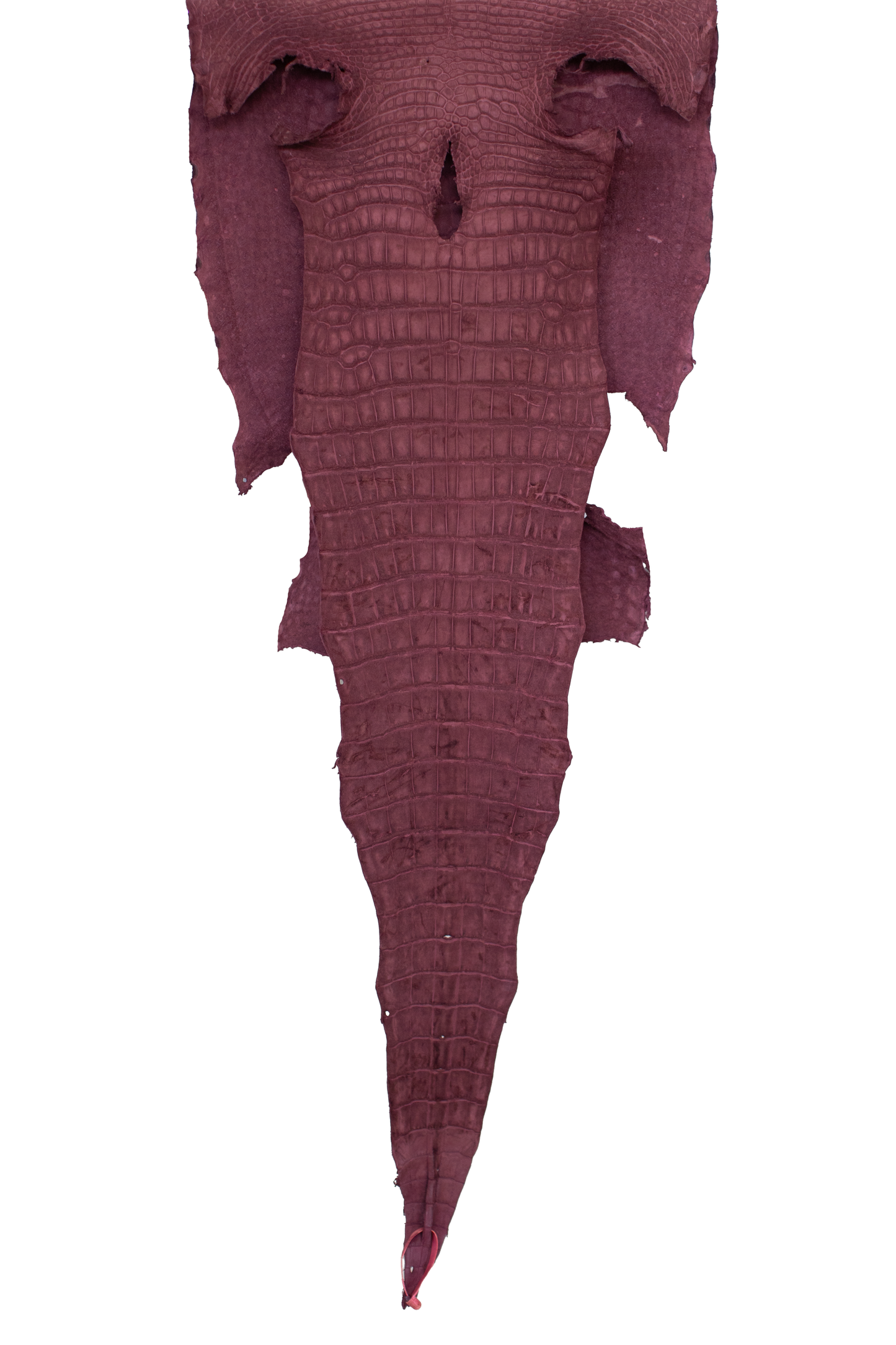 52 cm Grade 2/3 Bordeaux Nubuck Wild American Alligator Leather - Tag: LA18-0020162