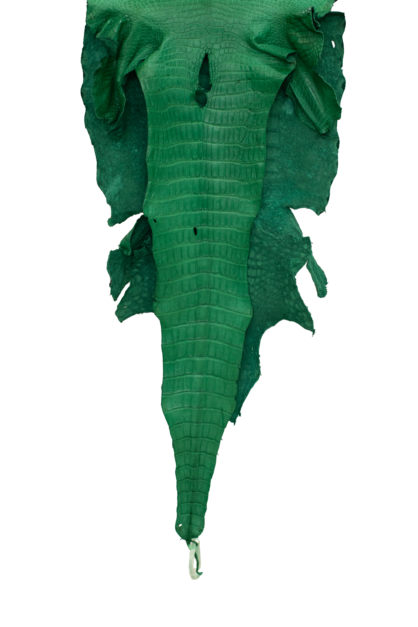 44 cm Grade 3/4 Kelly Green Matte Wild American Alligator Leather - Tag: LA23-0020236