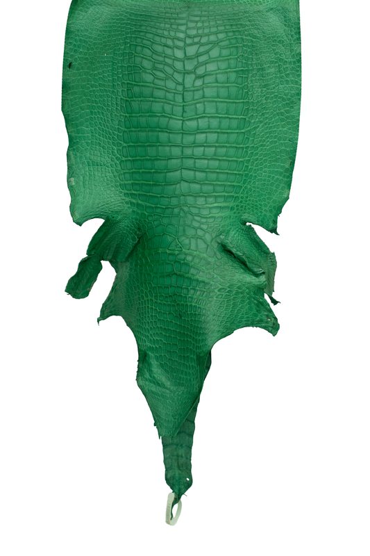 44 cm Grade 3/4 Kelly Green Matte Wild American Alligator Leather - Tag: LA23-0020236