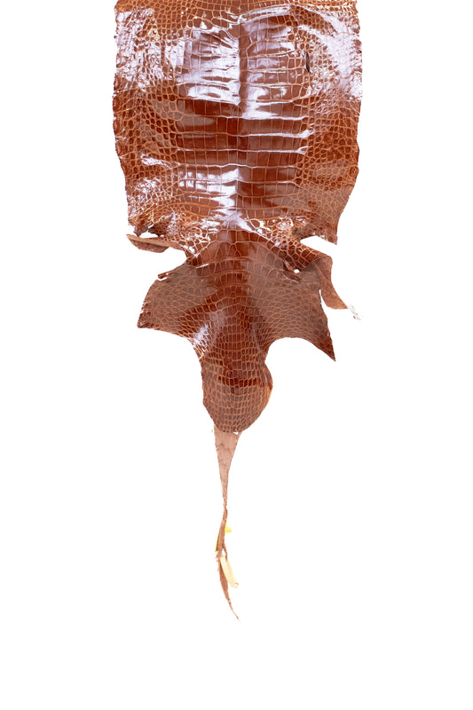 43 cm Grade 2/3 MS Gold Glazed Wild American Alligator Leather - Tag: LA16-0023127