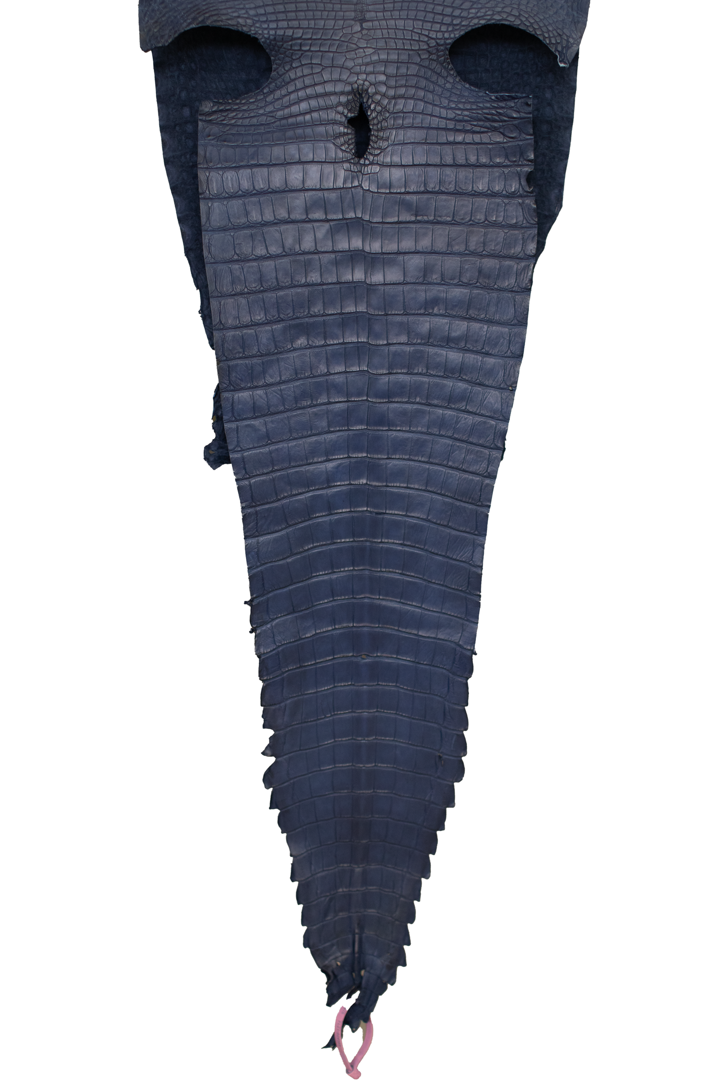 37 cm Grade 2/3 Space Blue Antique (Dark Dye Lot) Farm Raised American Alligator Leather - Tag: FL21-0024165