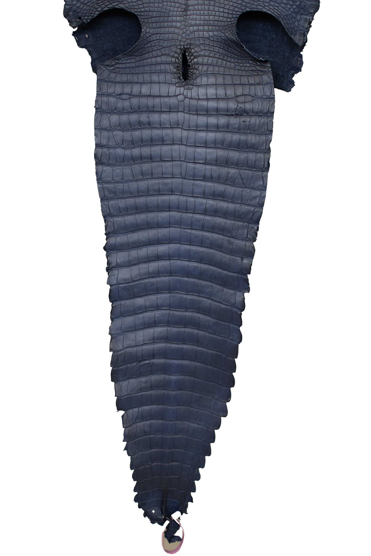 38 cm Grade 2/3 Space Blue Antique Farm Raised American Alligator Leather - Tag: FL21-0024267