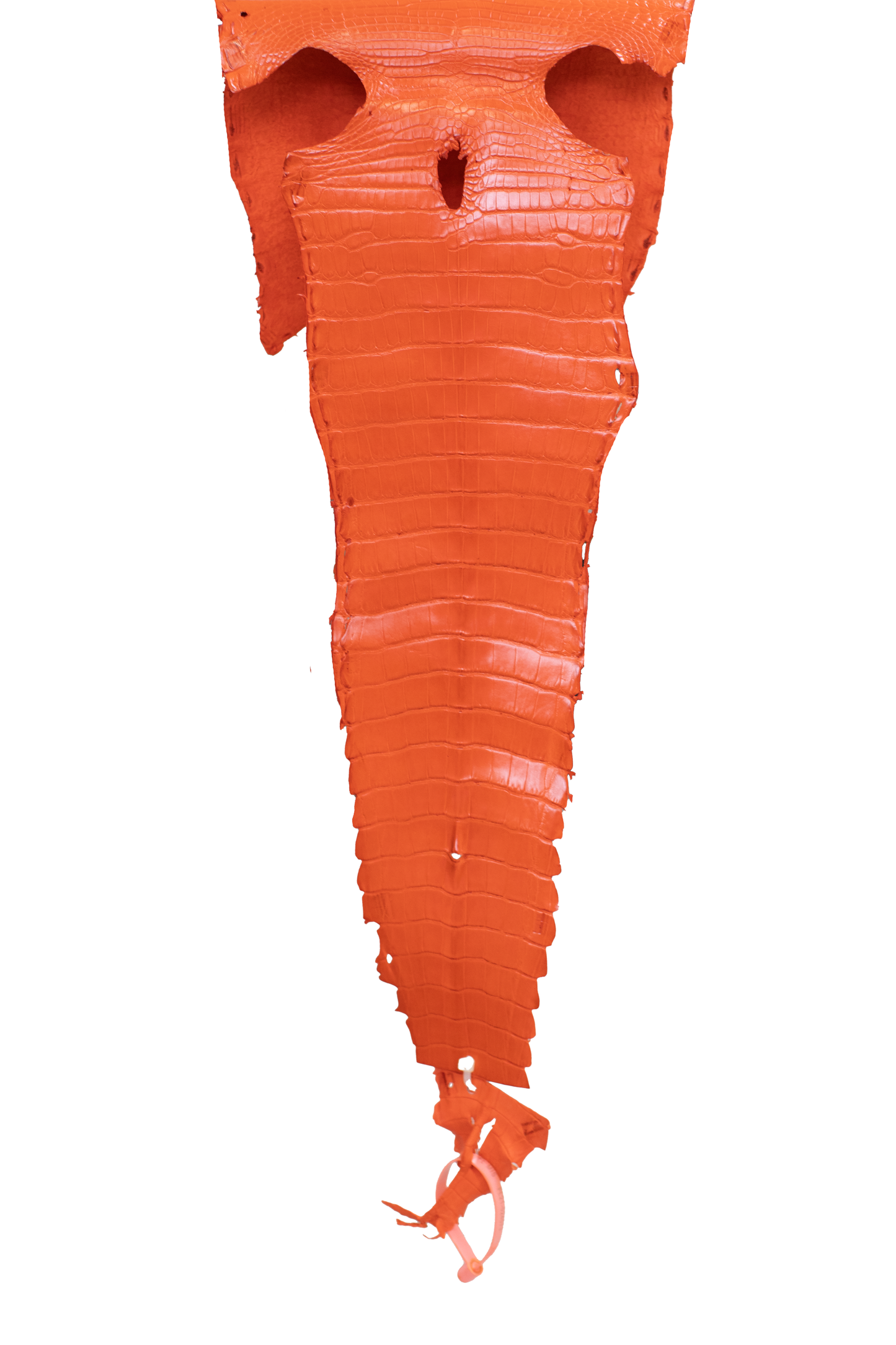 24 cm Grade 3/4 Orange Millennium Farm American Alligator Leather - Tag: FL21-0024573