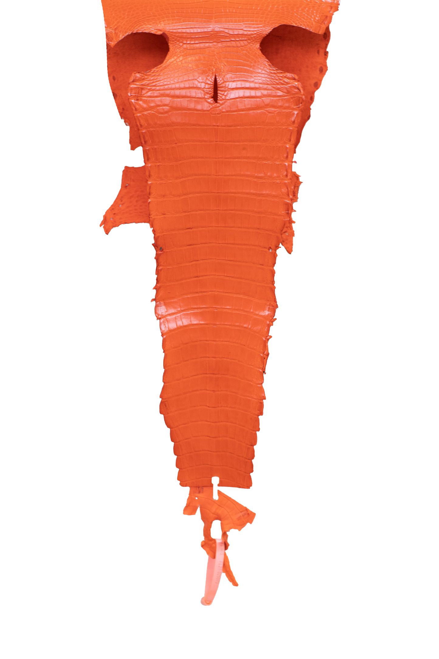 23 cm Grade 3/4 Orange Millennium Farm American Alligator Leather - Tag: FL21-0025073