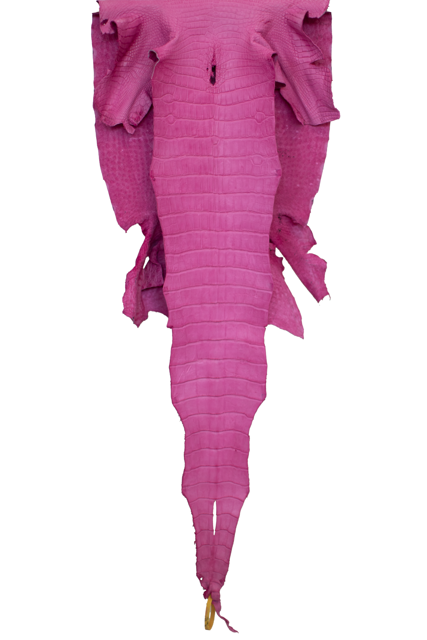 48 cm Grade 3/4 Rosa Matte Wild American Alligator Leather - Tag: LA22-0027227