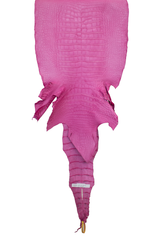 48 cm Grade 3/4 Rosa Matte Wild American Alligator Leather - Tag: LA22-0027227
