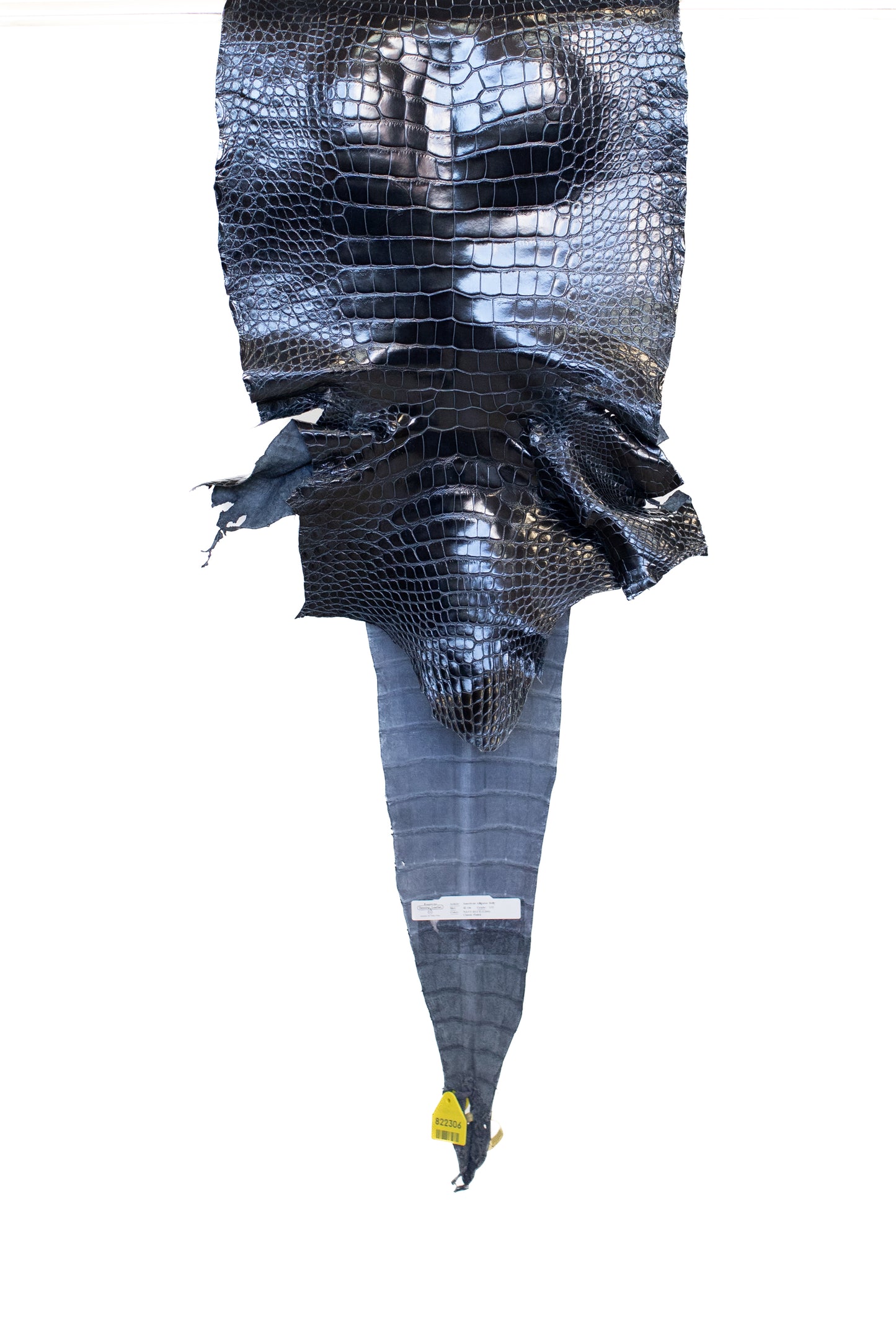 42 cm Grade 1/2 Navy Blue Glazed Wild American Alligator Leather - Tag: LA16-0030037
