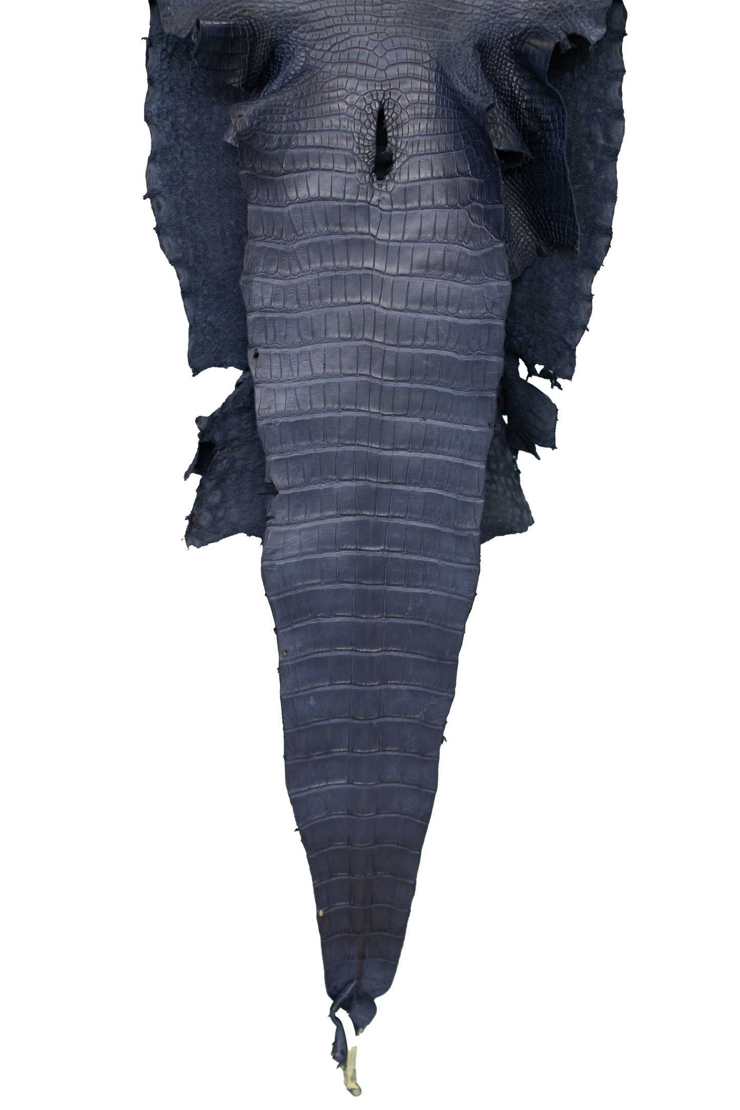 42 cm Grade 2/3 Navy Blue Matte Wild American Alligator Leather - Tag: LA16-0030076