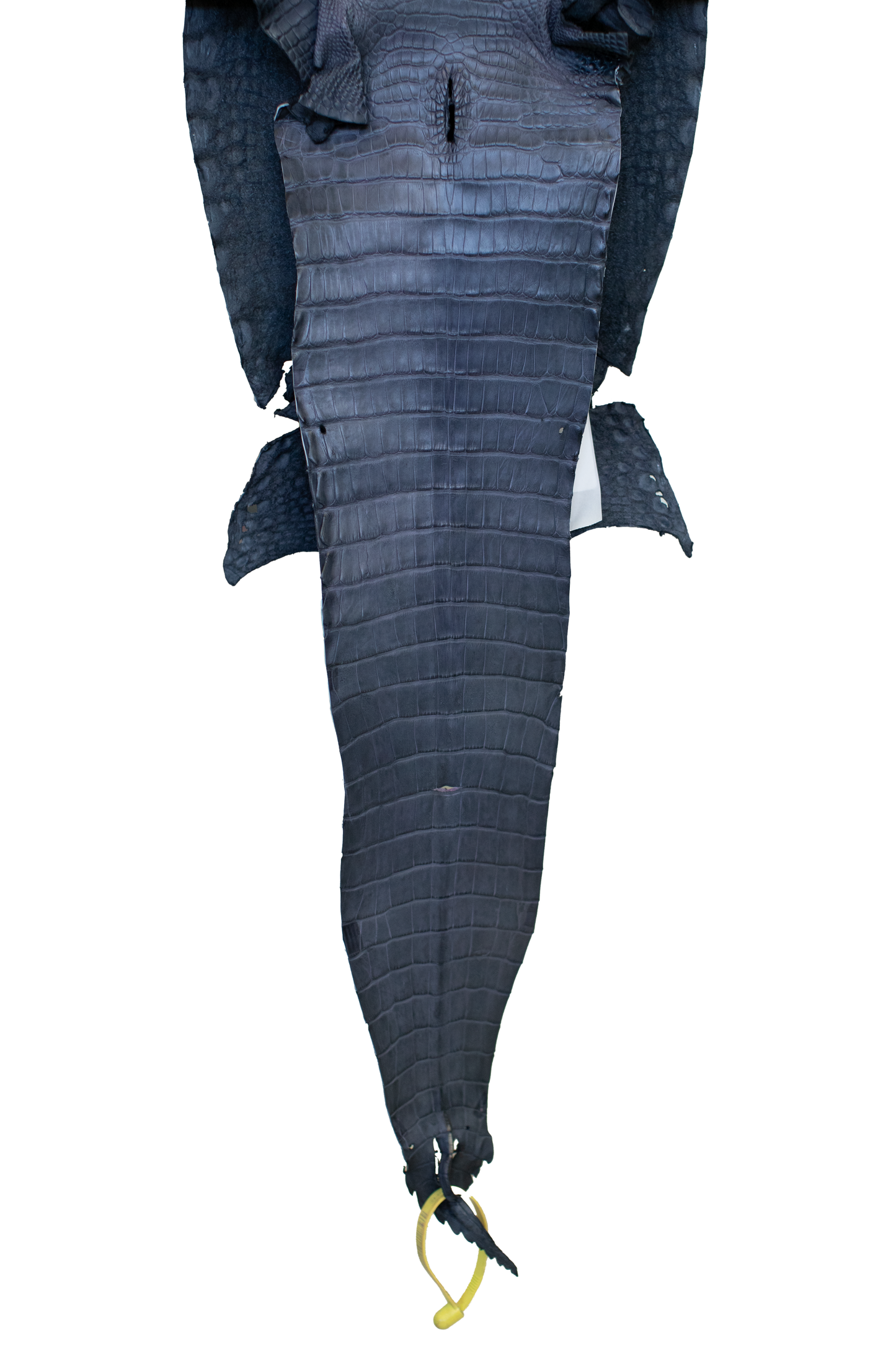 24 cm Grade 4/5 Blue Jean Matte Farm Raised American Alligator Leather - Tag: FL22-0030109