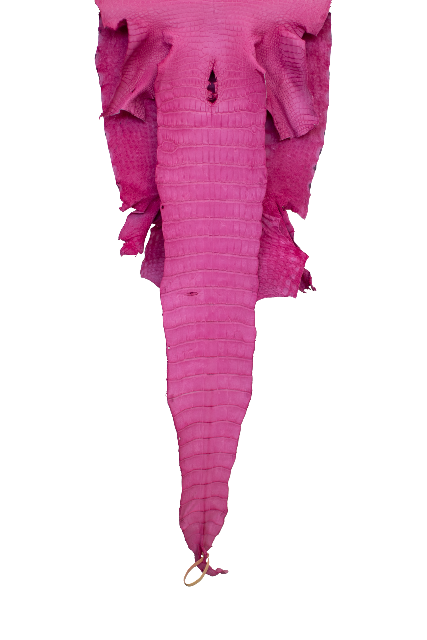 43 cm Grade 2/3 Rosa Matte Wild American Alligator Leather - Tag: LA16-0031861