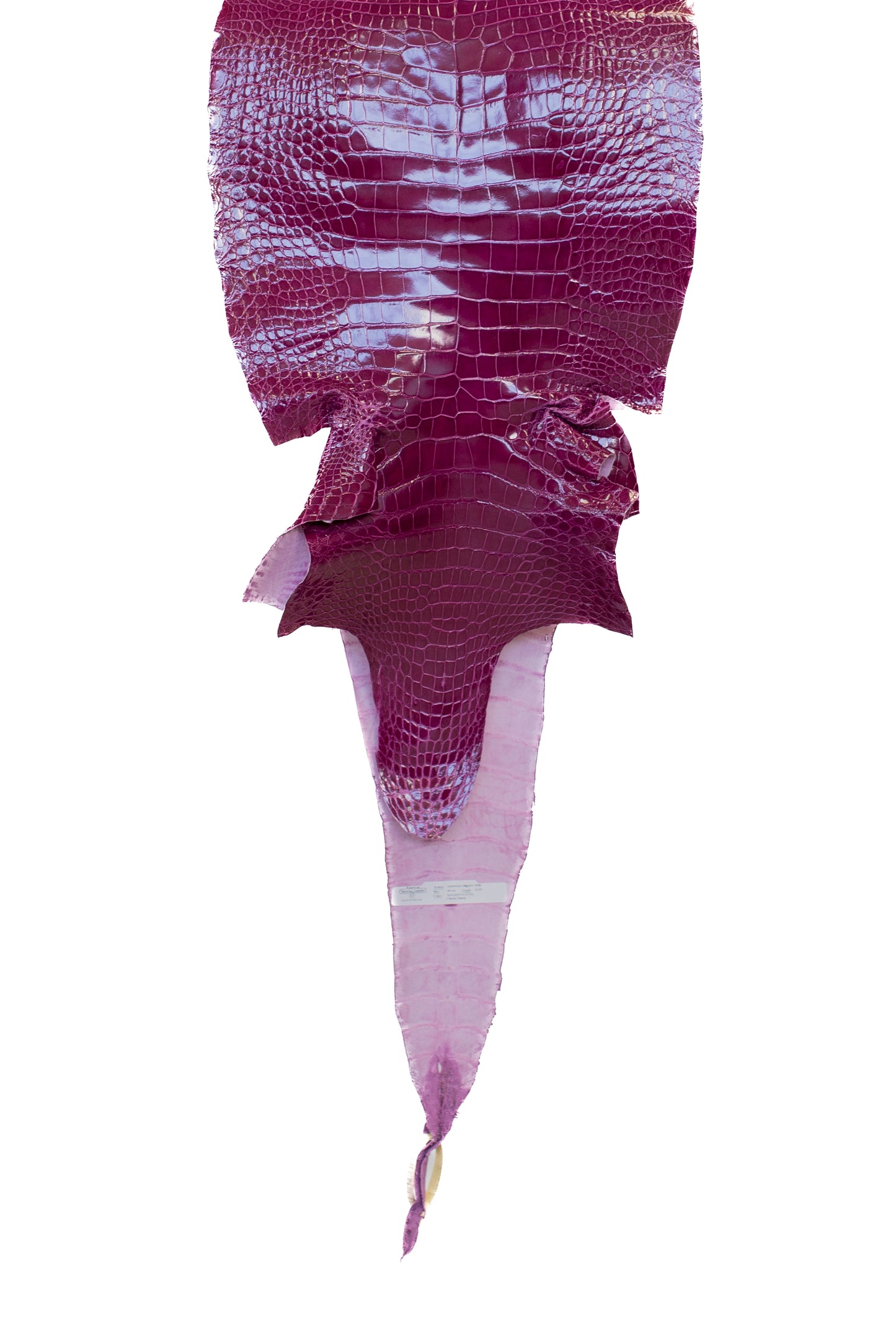 40 cm Grade 2/3 Magenta Glazed Wild American Alligator Leather - Tag: LA16-0033081