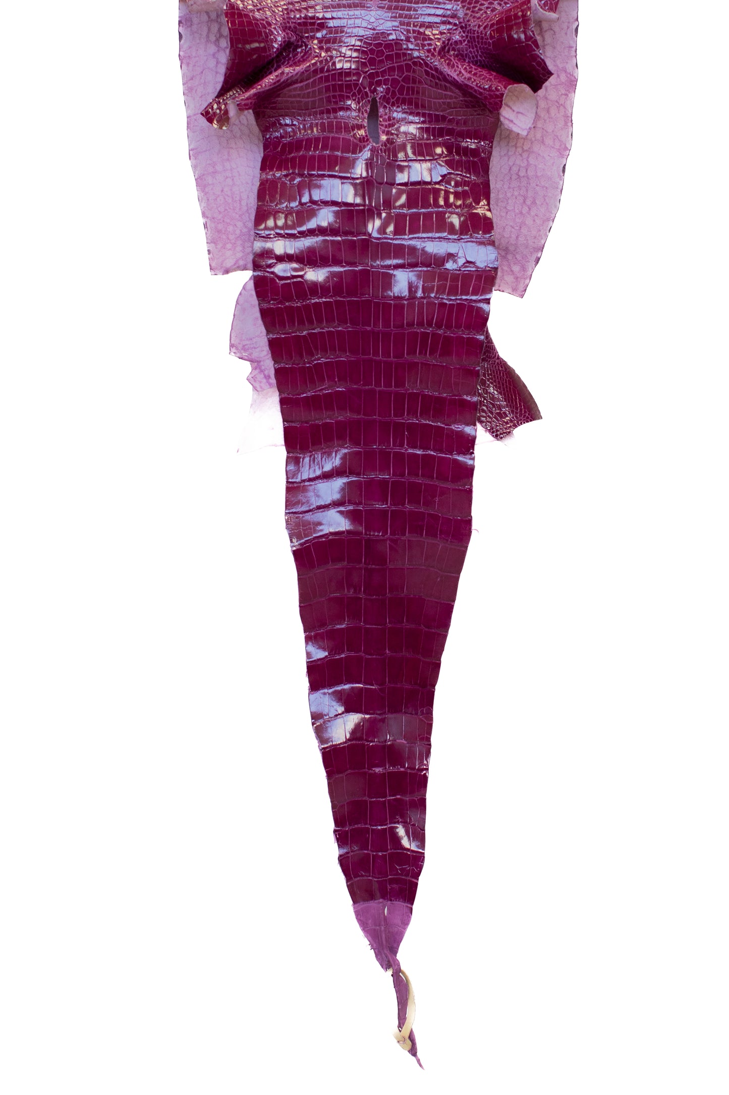 40 cm Grade 2/3 Magenta Glazed Wild American Alligator Leather - Tag: LA16-0033081