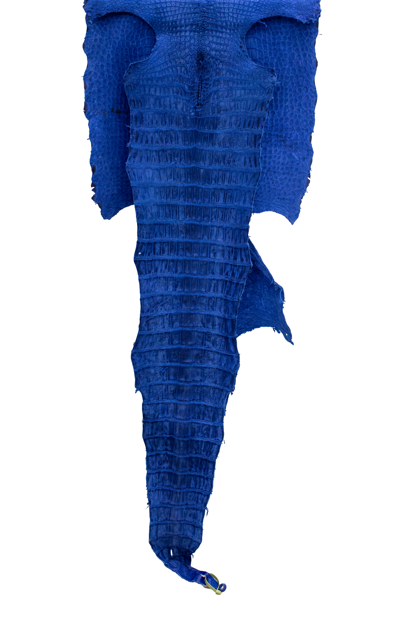 66 cm Grade 3/4 Navy Blue Nubuck Wild American Alligator Leather - Tag: FL22-0034428