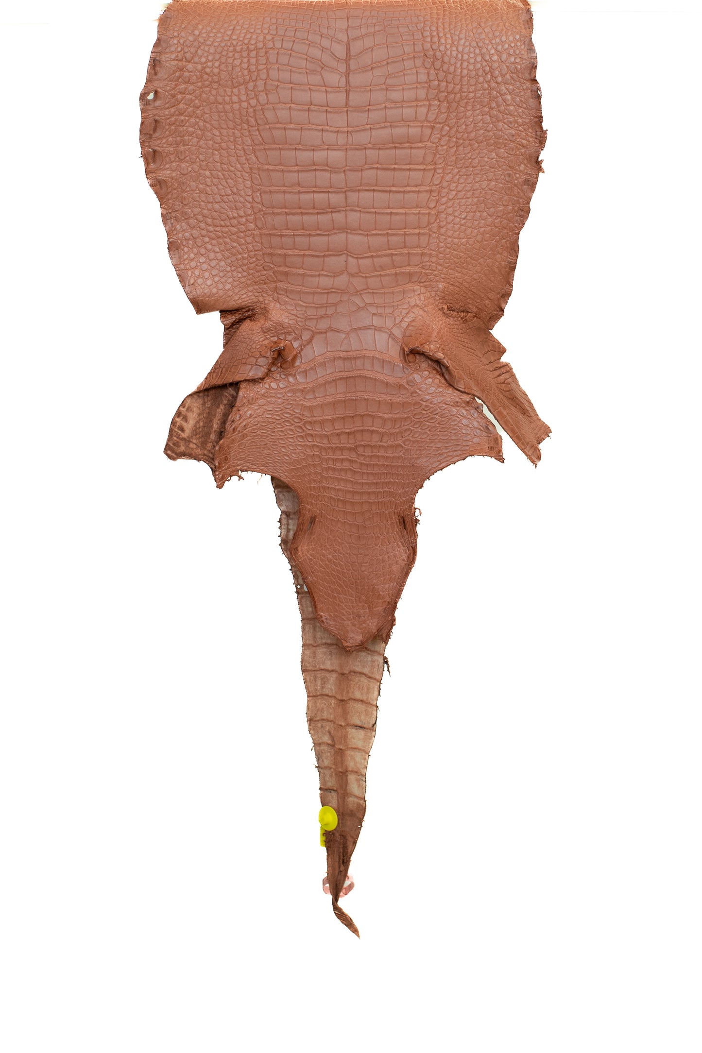 41 cm Grade 1/2 Georgia Clay Matte Wild American Alligator Leather - Tag: LA15-0035009