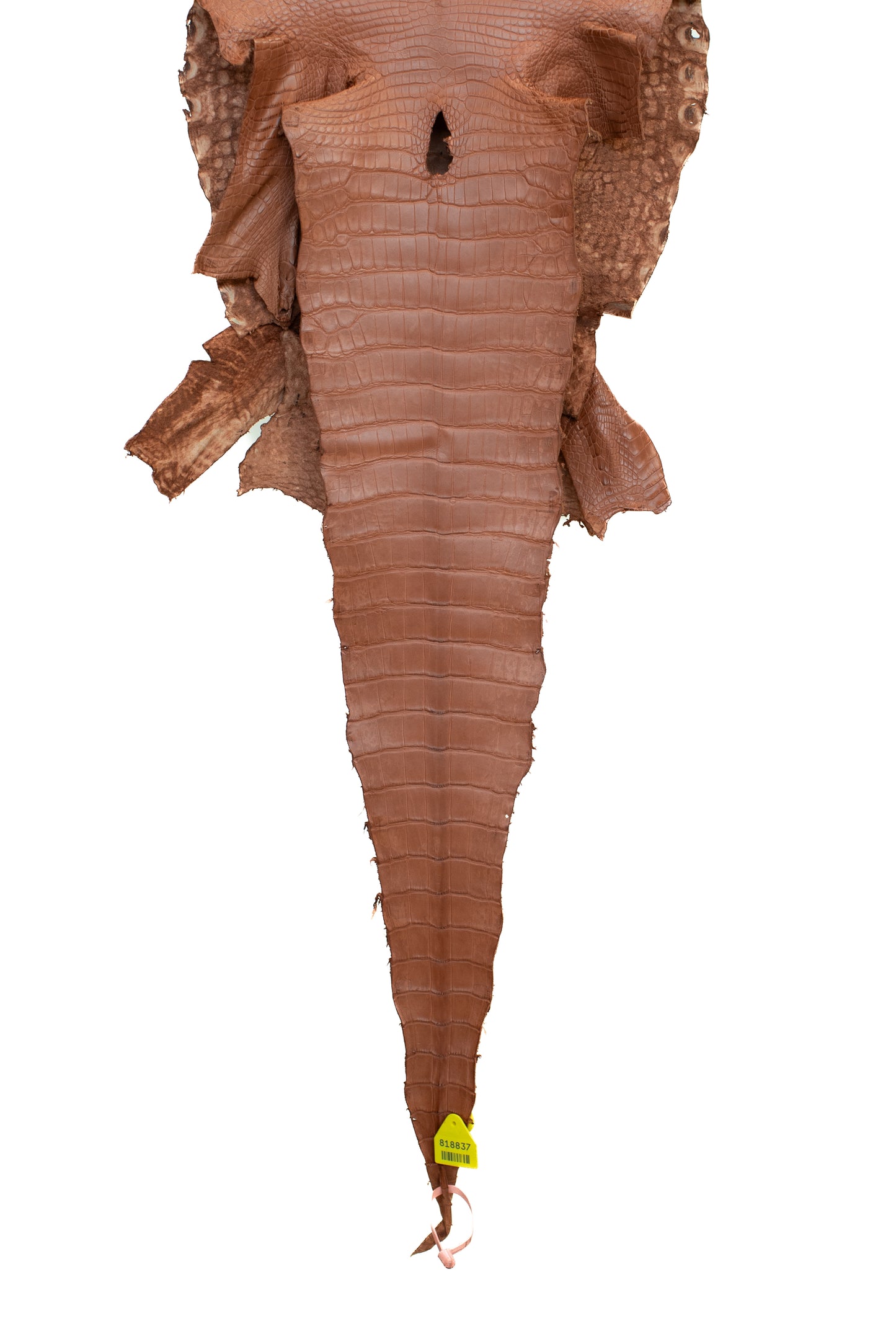 41 cm Grade 1/2 Georgia Clay Matte Wild American Alligator Leather - Tag: LA15-0035009