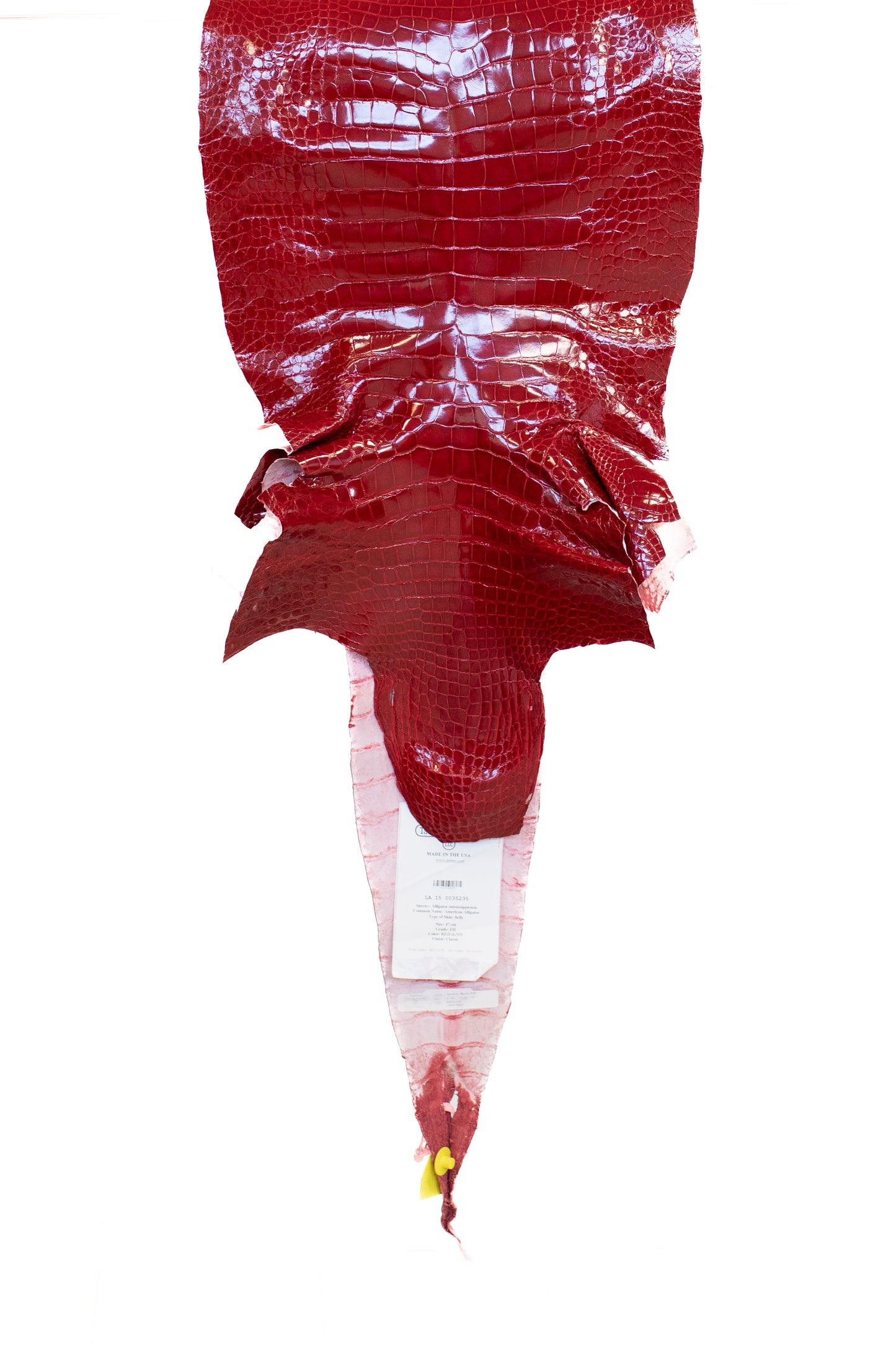 47 cm Grade 1/2 Red Glazed Wild American Alligator Leather - Tag: LA15-0035235