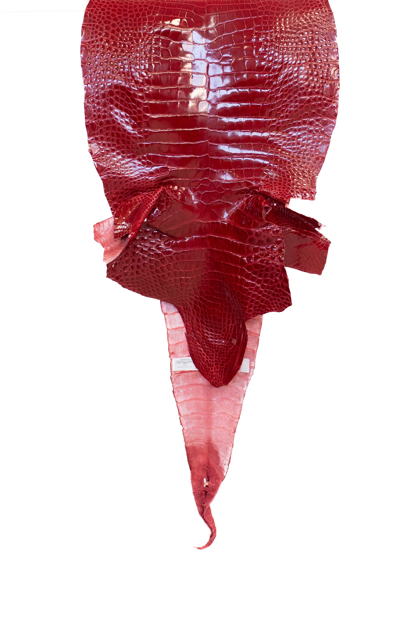 30 cm Grade 1/2 Red Glazed Farm American Alligator Leather - Tag: FL17-0035317