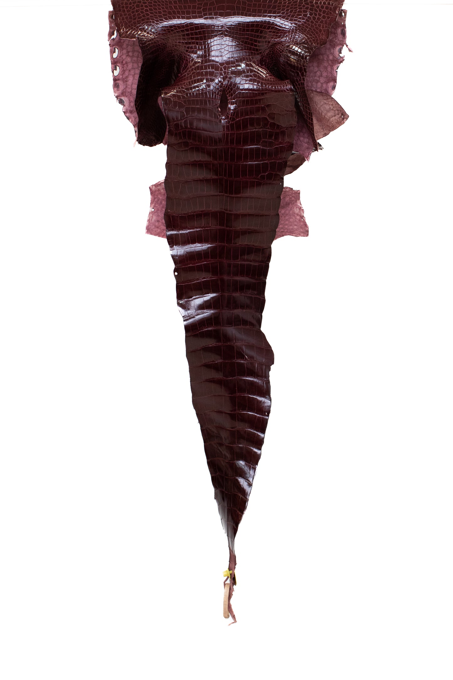 44 cm Grade 1/2 Burgundy Glazed Wild American Alligator Leather - Tag: LA16-0035677