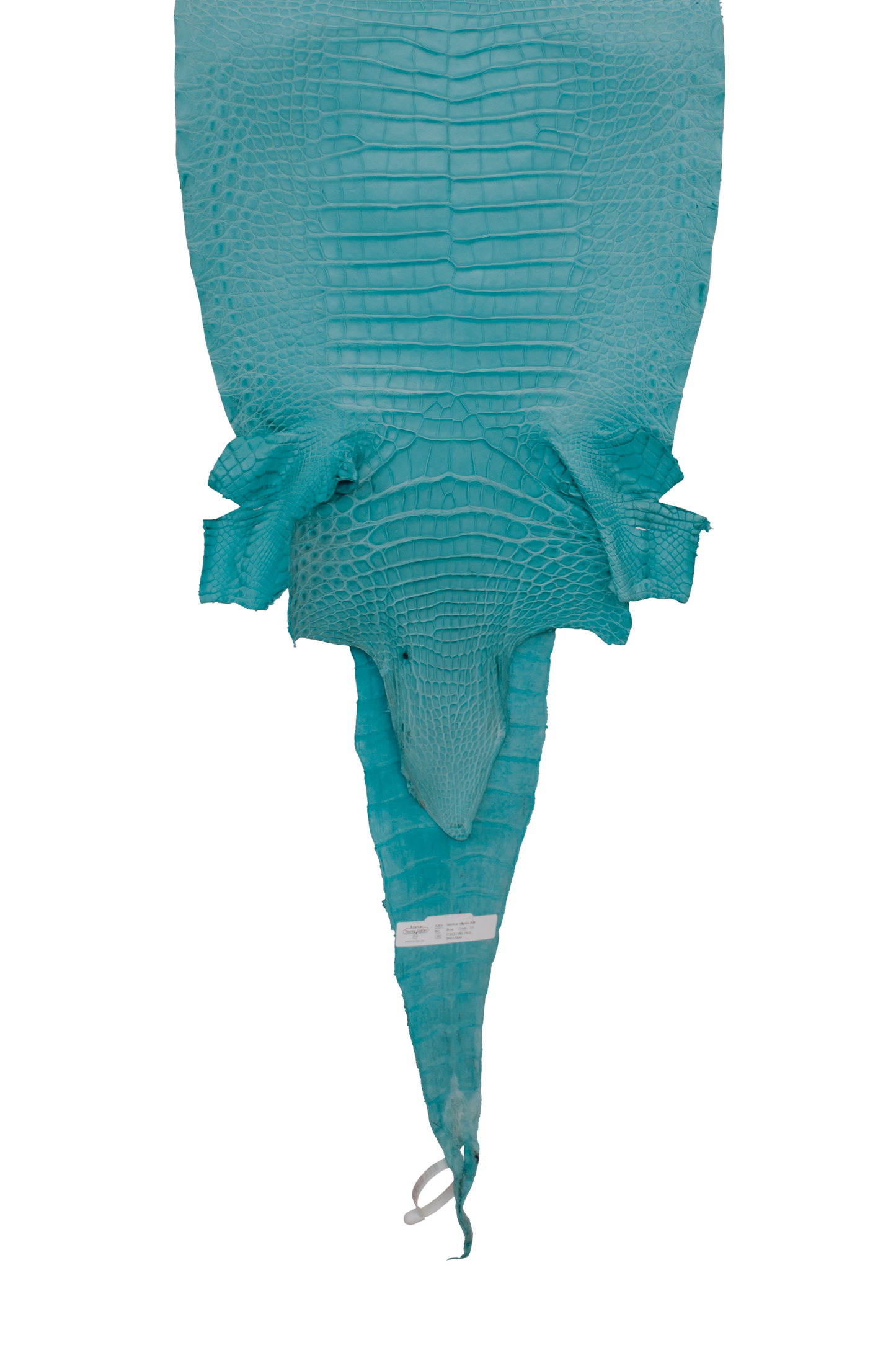 39 cm Grade 1/2 Aqua Matte Farm Raised American Alligator Leather - Tag: FL17-0036454