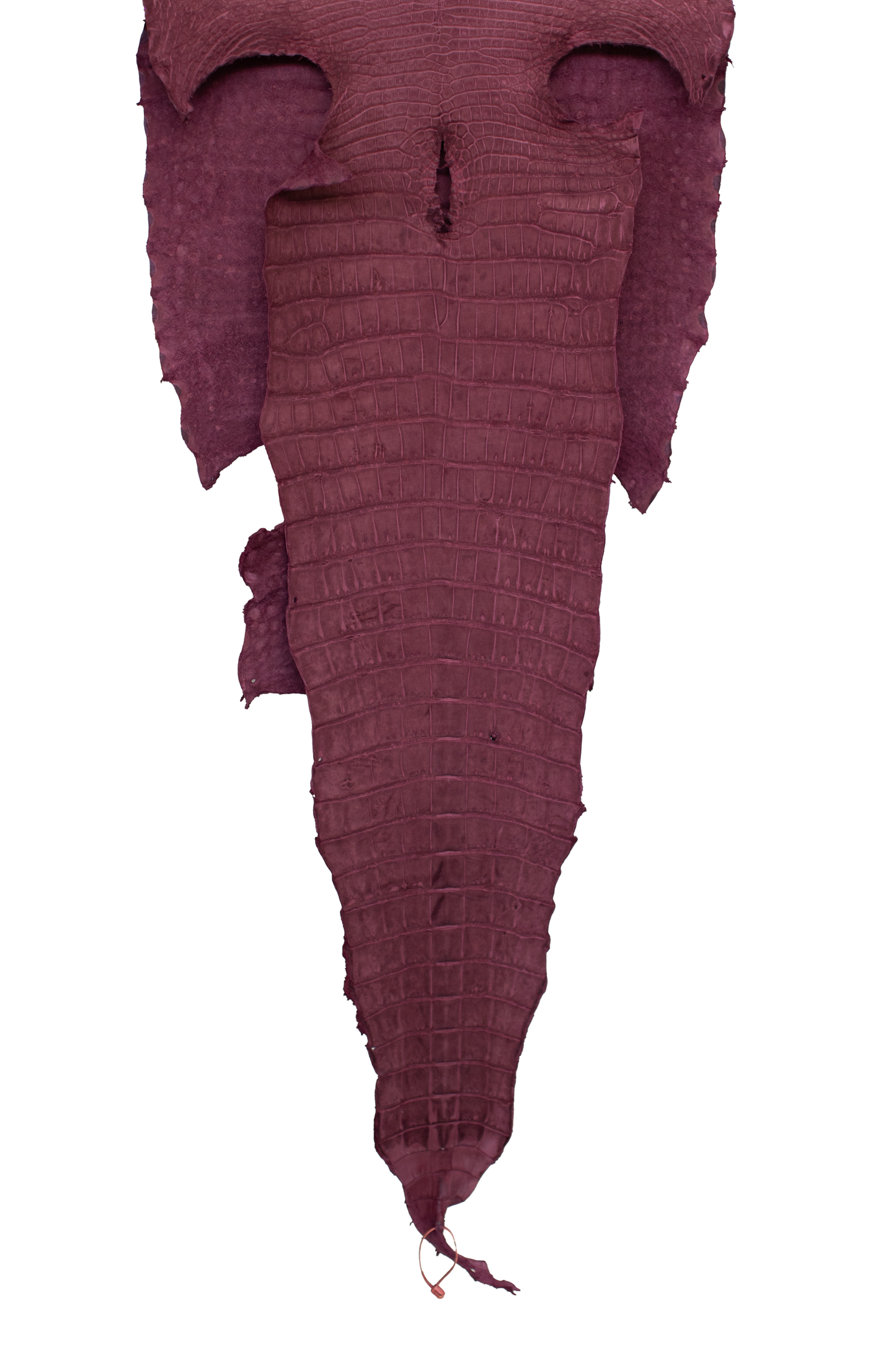60 cm Grade 2/3 Bordeaux Nubuck Wild American Alligator Leather - Tag: LA16-0040681