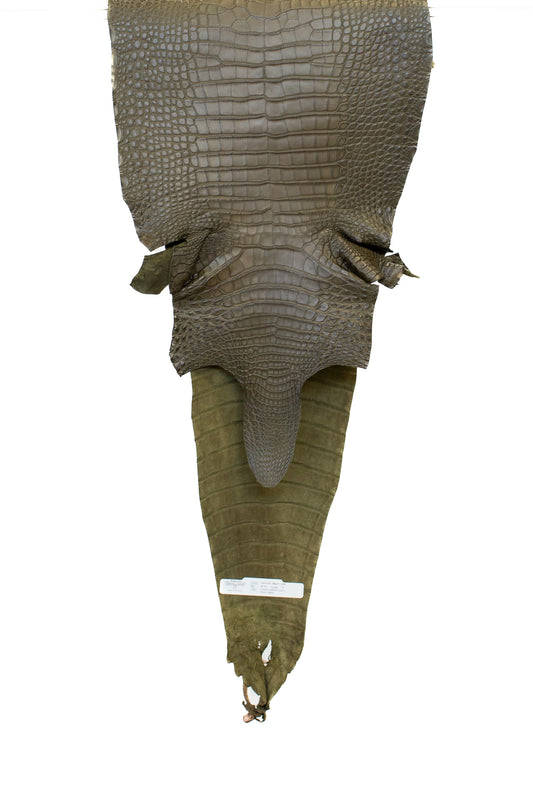 36 cm Grade 1/2 Loden Green Matte Farm Raised American Alligator Leather - Tag: FL18-0052023