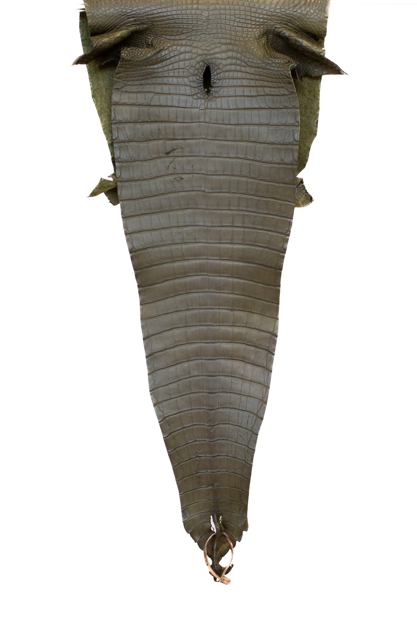 36 cm Grade 1/2 Loden Green Matte Farm Raised American Alligator Leather - Tag: FL18-0052023