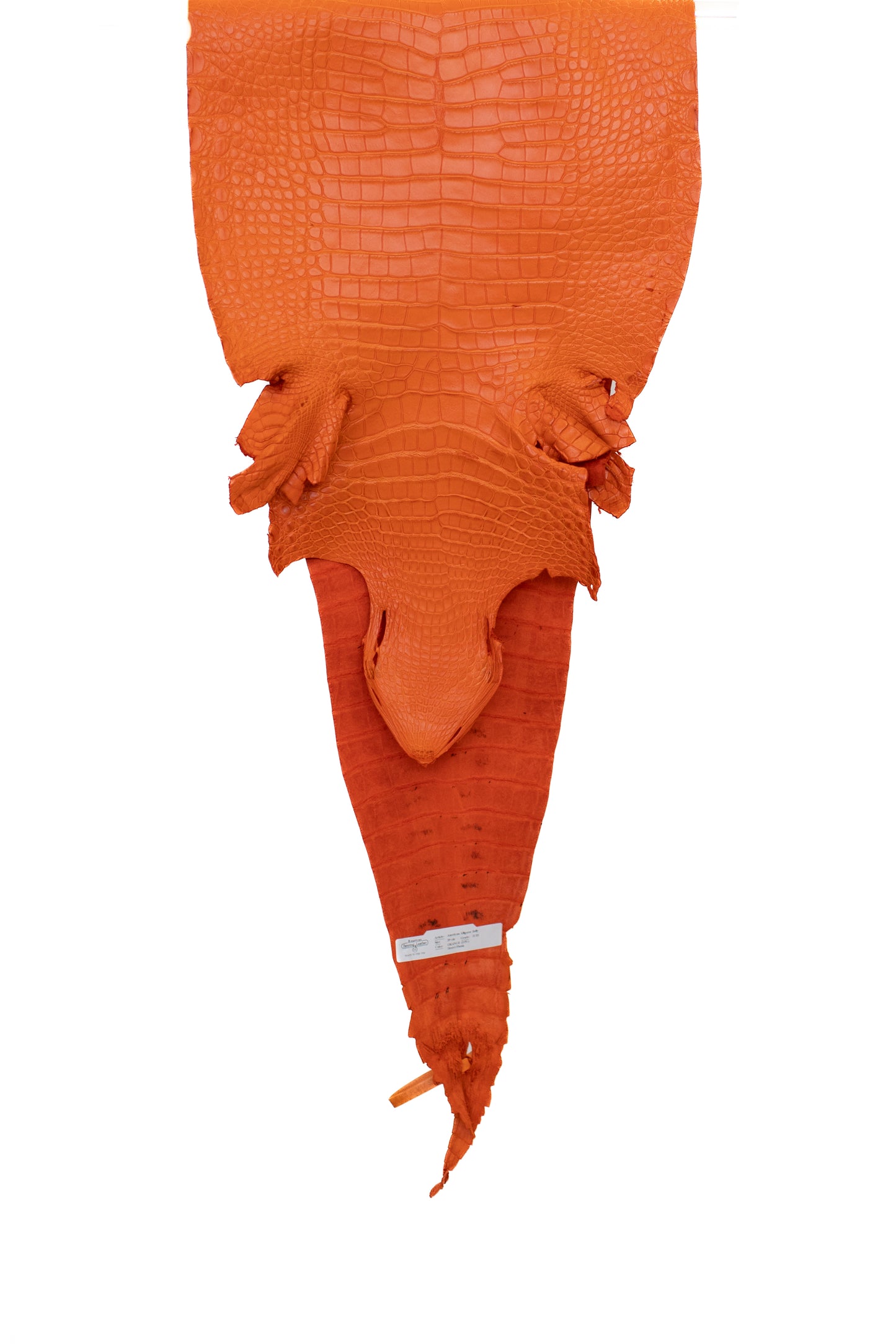 39 cm Grade 2/3 Orange Matte Farm American Alligator Leather - Tag: FL17-0052729