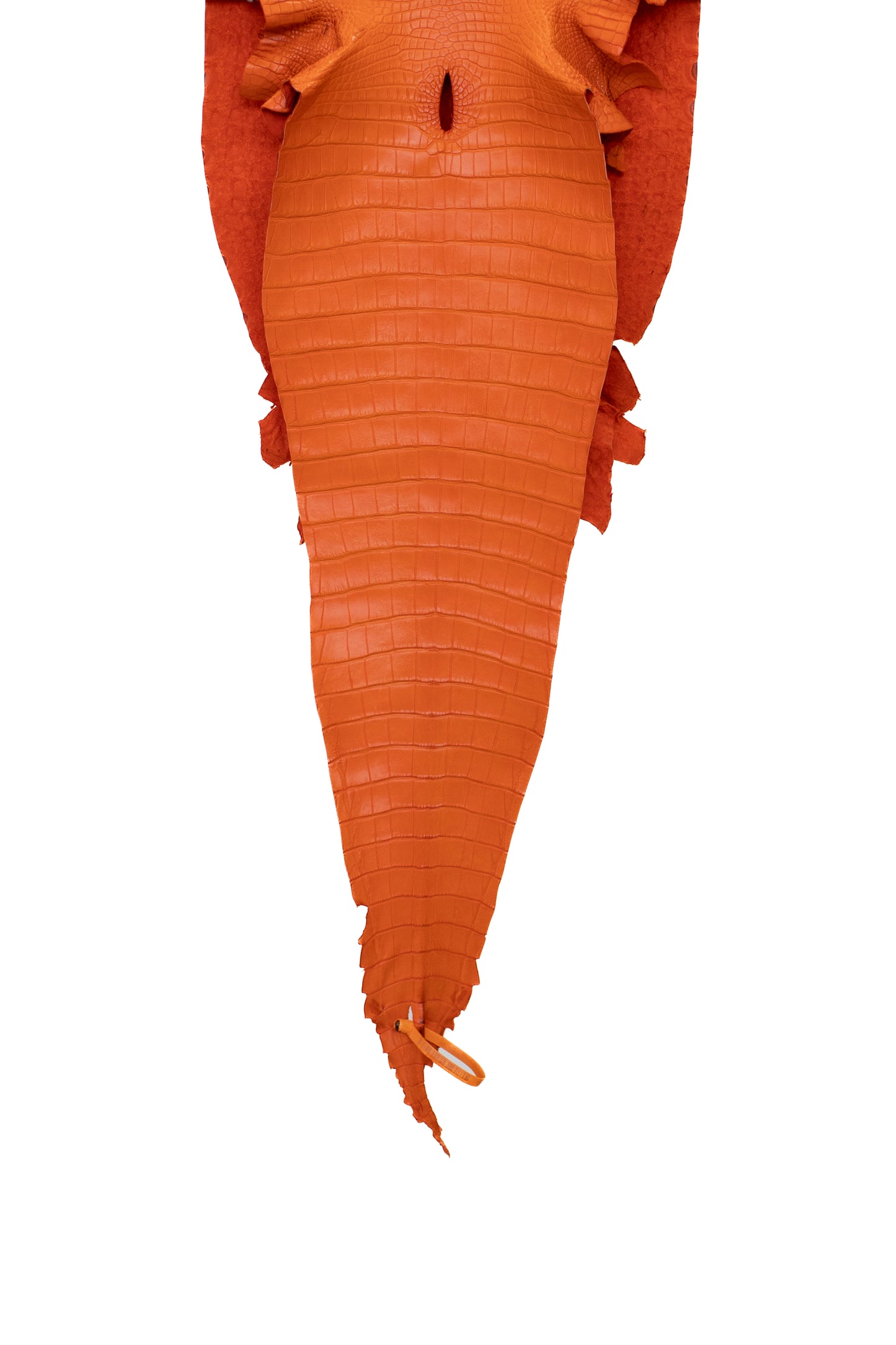39 cm Grade 2/3 Orange Matte Farm American Alligator Leather - Tag: FL17-0052729