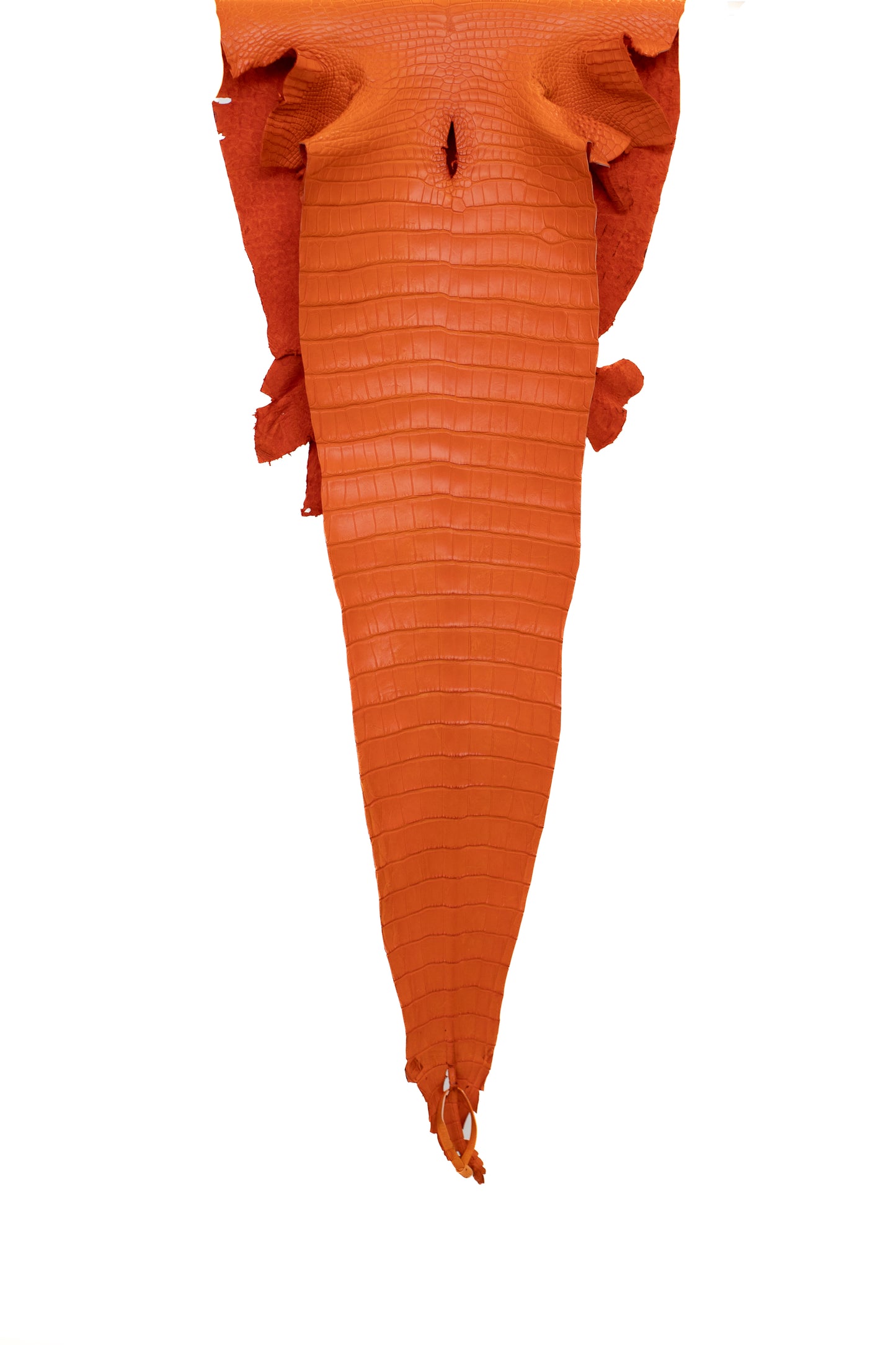 40 cm Grade 2/3 Orange Matte Farm American Alligator Leather - Tag: FL17-0052766