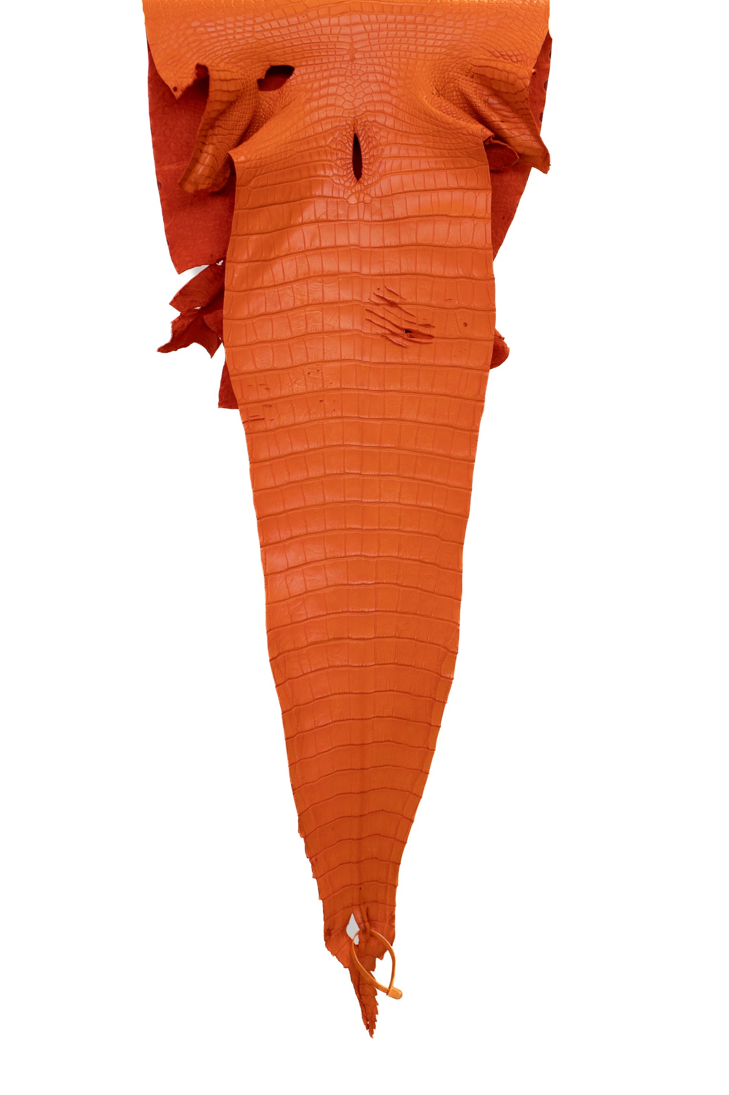 39 cm Grade 2/3 Orange Matte Farm American Alligator Leather - Tag: FL17-0052795