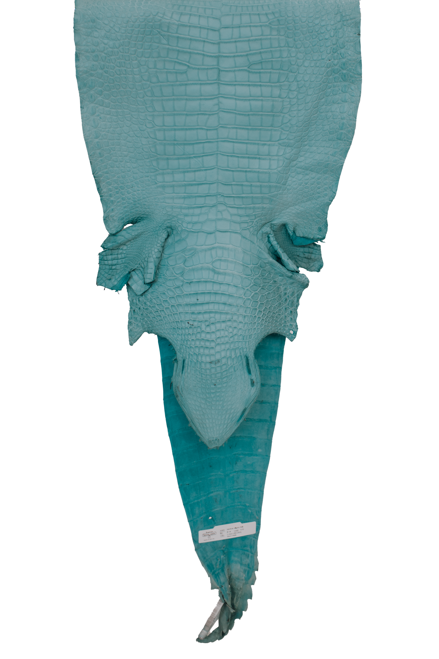 40 cm Grade 2/3 Aqua Matte Farm Raised American Alligator Leather - Tag: FL17-0052935