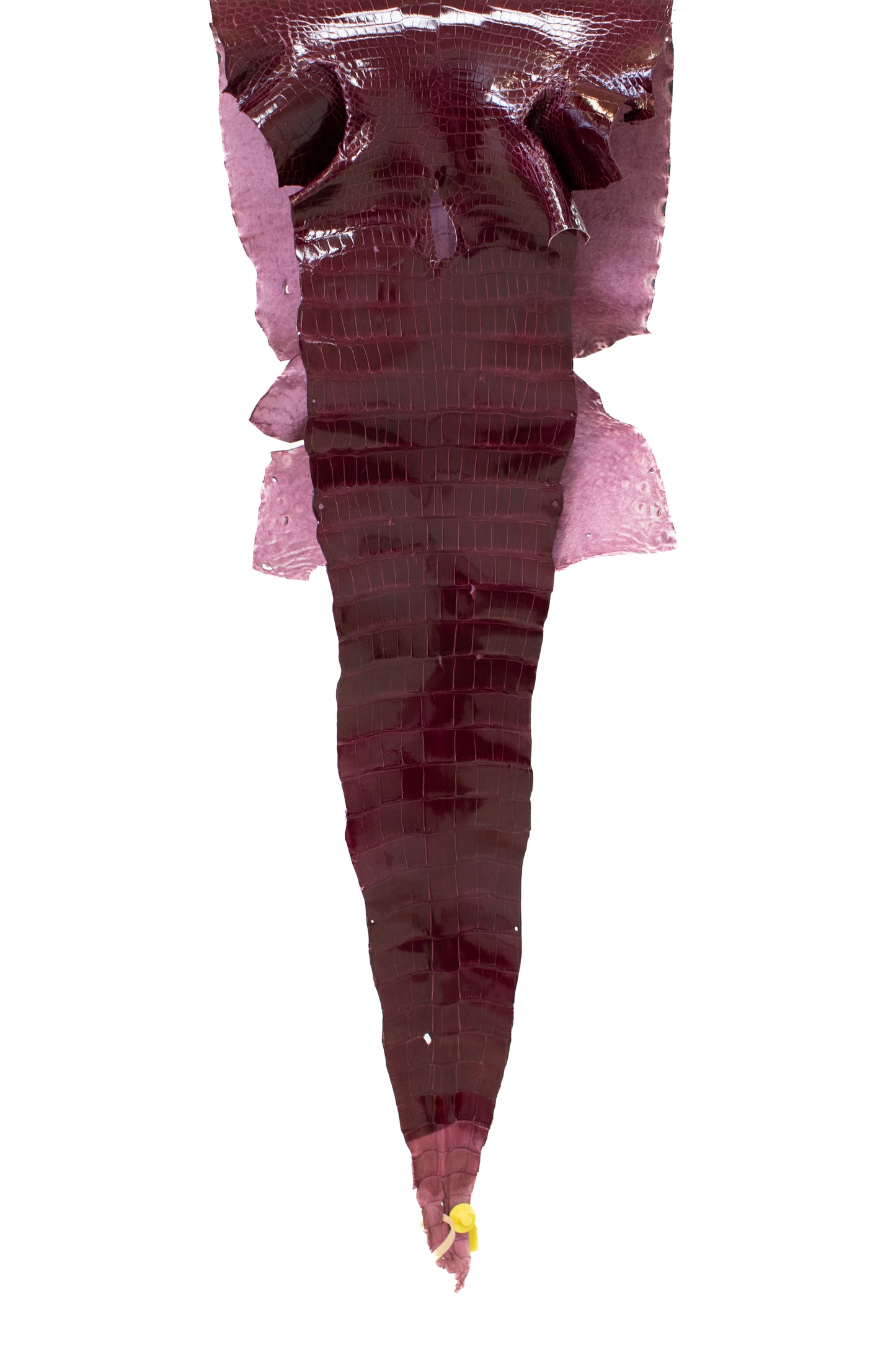 43 cm Grade 2/3 Rubino Glazed Wild American Alligator Leather - Tag: LA16-0054140