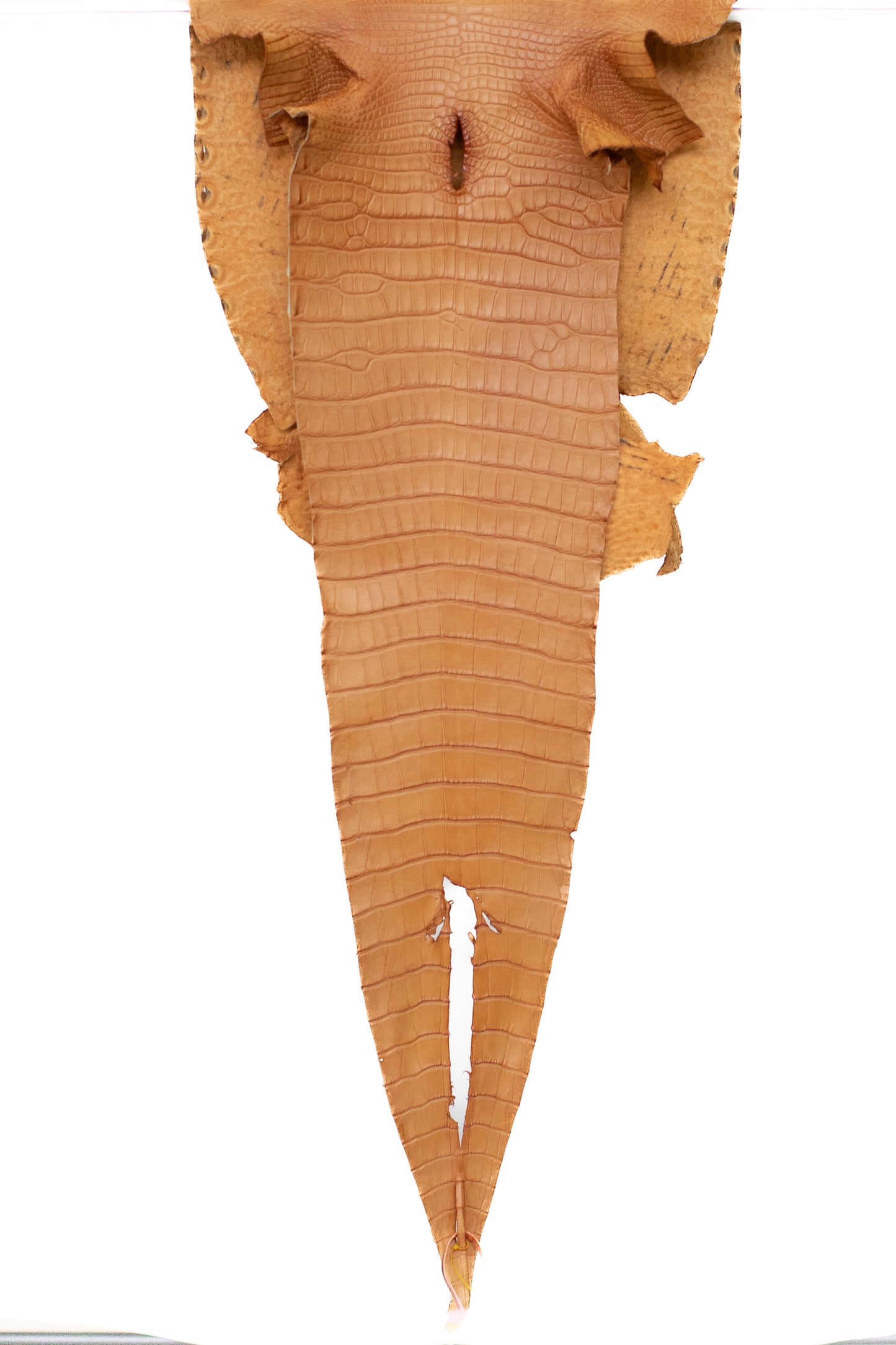 44 cm Grade 1 Light Buttercup Matte Certified Farm Raised American Alligator Leather - Tag: LA18-0268273