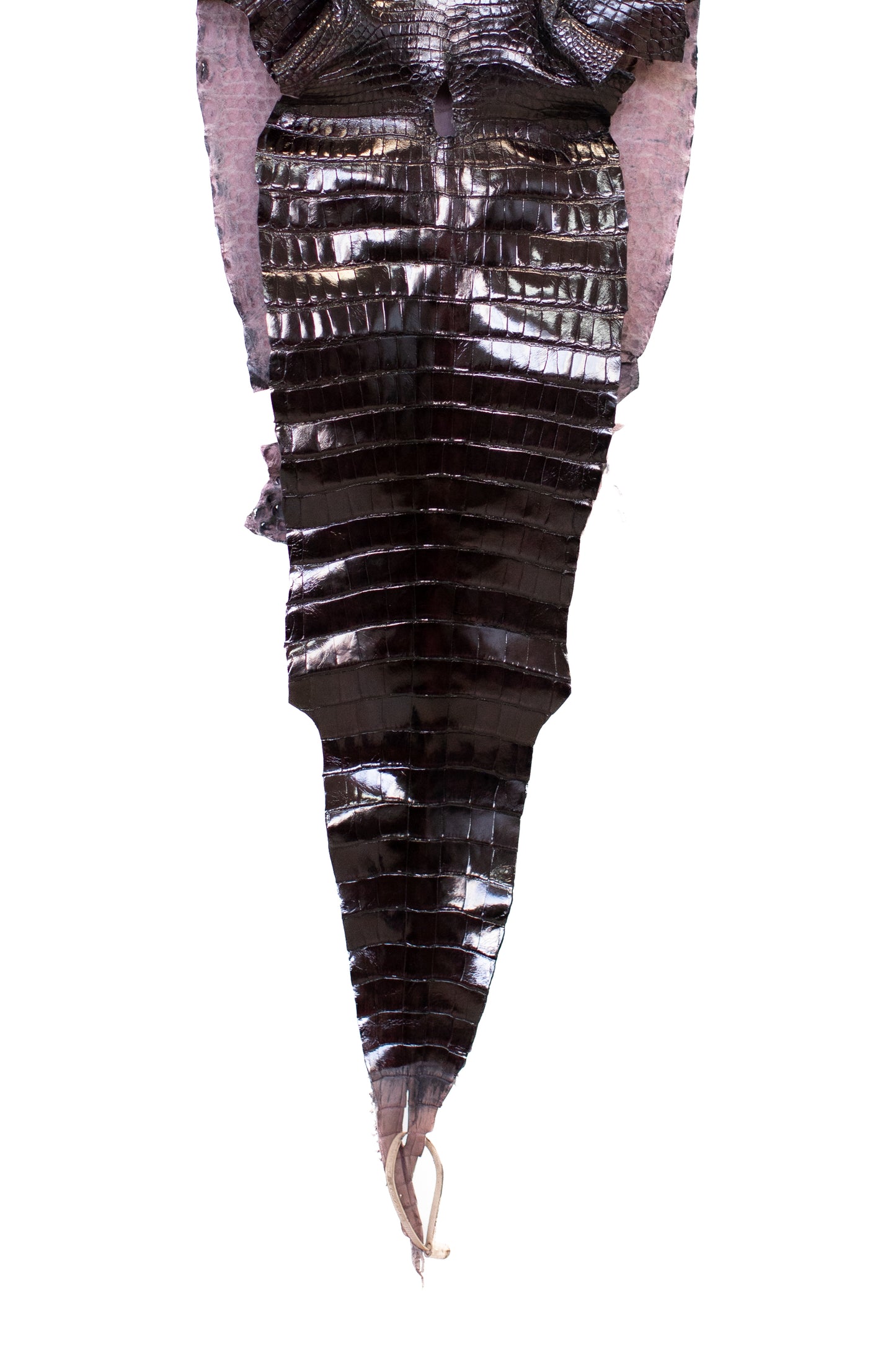 30 cm Grade 1 Black Cherry Glazed Farm American Alligator Leather - Tag: LA17-0274202