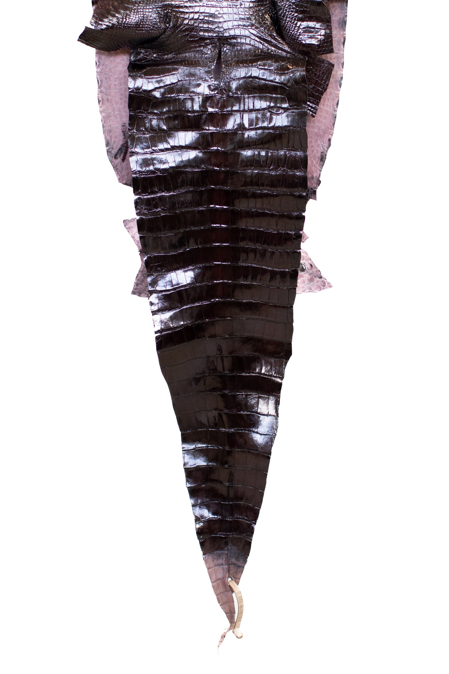 32 cm Grade 1/2 Black Cherry Glazed Farm American Alligator Leather - Tag: LA17-0274229